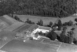 Lie Handelsgartneri.