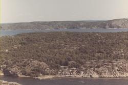 Oversiktsbilde av Alten? på Hvaler, juli 1967. Skråfoto/flyf