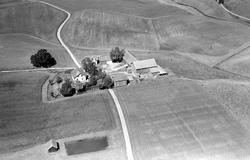 Gården Botten i Rakkestad, flyfoto 4. august  1951.