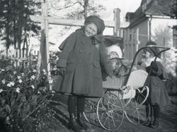 Holmeegenes, div. snapshots tatt på Holmeegenes.