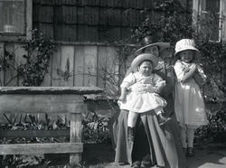 Holmeegenes, div. snapshots tatt på Holmeegenes.