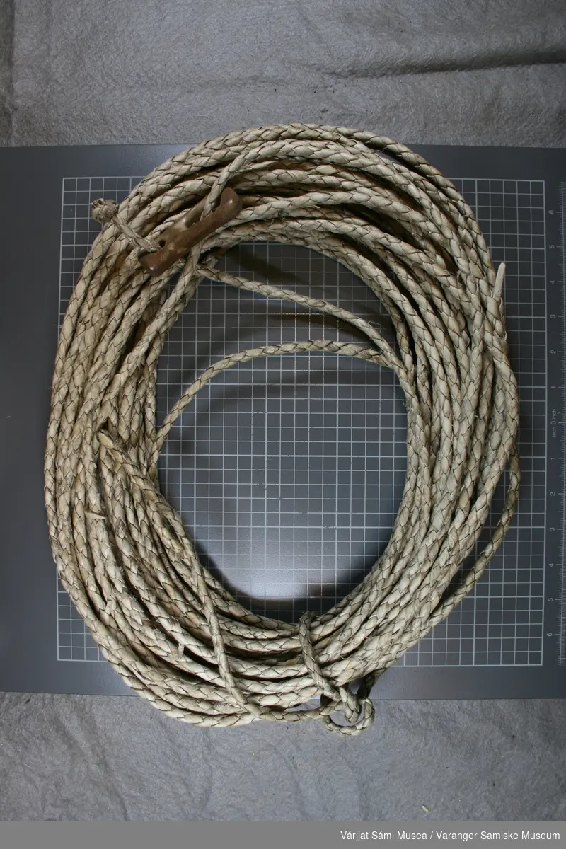 Lassoen er ca. 20 meter lang og laget av reinsdyrskinnstrimler. Lassoringen av reinhorn.