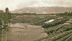 Heddøla, masse tømmer på elvebredden, gård i bakgrunnen

V