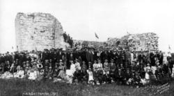 Nærøya - Nærøystemne