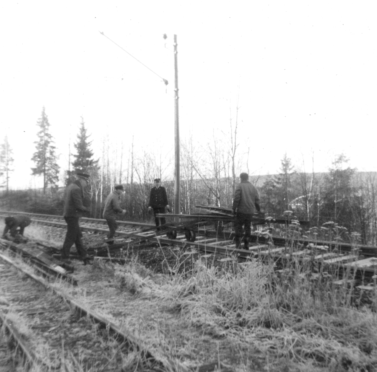 Transport av skinnemateriell på tralle på Kongsvingerbanen fra Sørumsand til Bingsfoss stasjon.