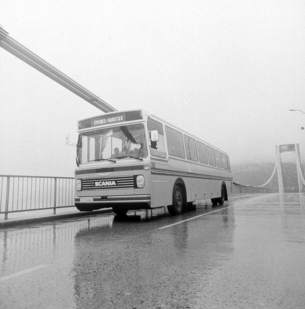 HORB-buss på Tjeldsundbrua.