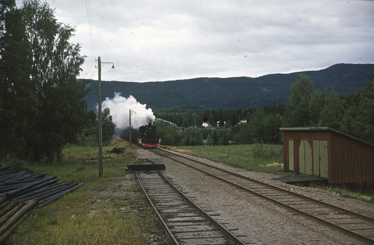 Damplokomotiv type 21b nr. 225 med godstog fra Rødberg til Kongsberg ved Svene holdeplass