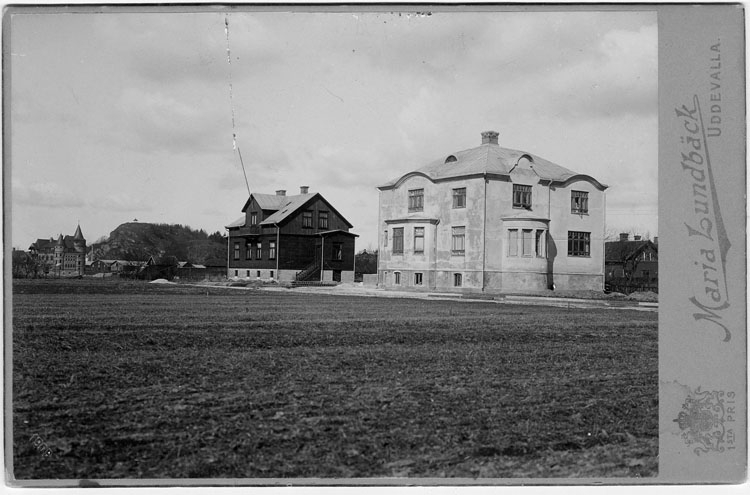 Hjalmar Zachaus villa, Uddevalla