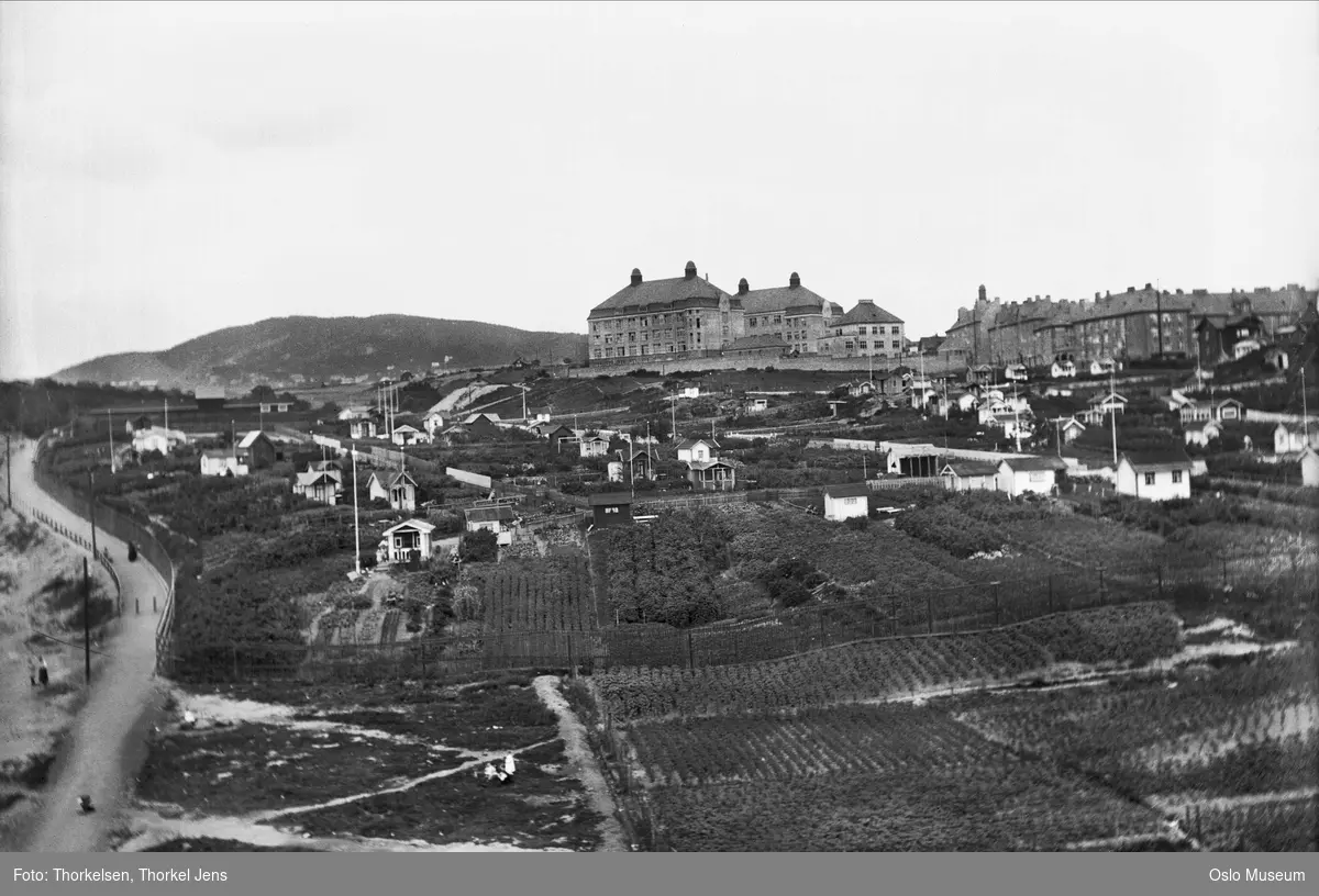 utsikt, Rodeløkkens kolonihager, Rosenhoff skole, bygårder