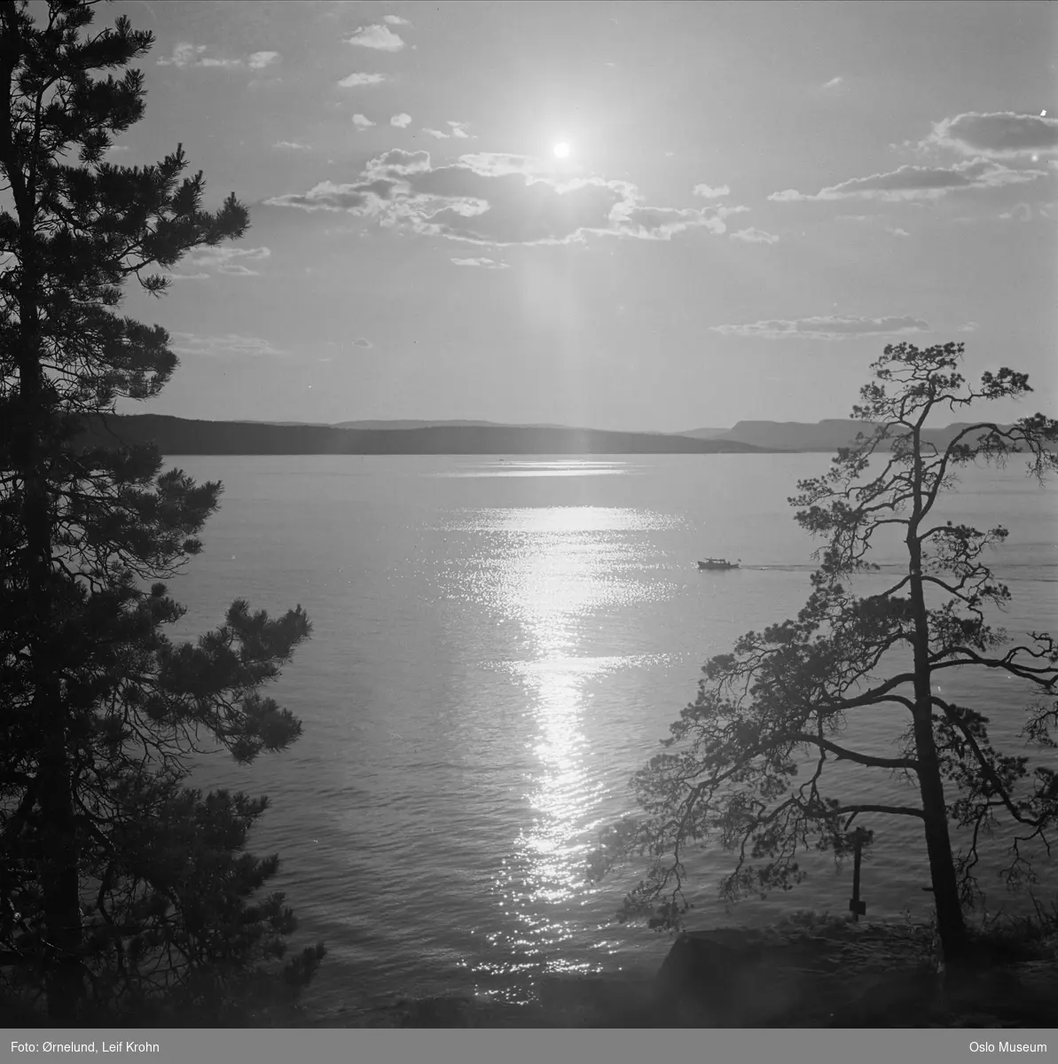 utsikt, fjord, solnedgang, furutrær, motorbåt