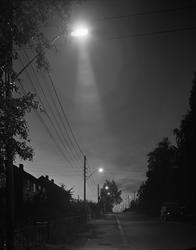 vei, gatebelysning, villabebyggelse, hager, trær