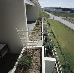 Fra Tokeruddalen 1-11 på Stovner.