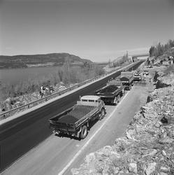 vei, veiarbeid, lastebiler, vann