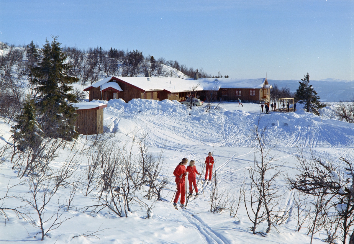Nordisk Fjellskole. 
Ringebu Fjellskole, Ringebufjellet, vinter, skiløpere.