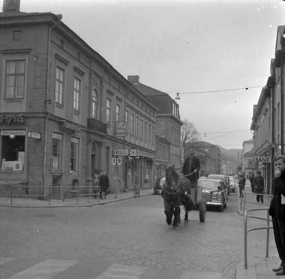 Text till bilden: "Alf Andersson "Nytorp" med en av stans sista åkarhästar". Finns i bok om U-a del 1 sid 11.
