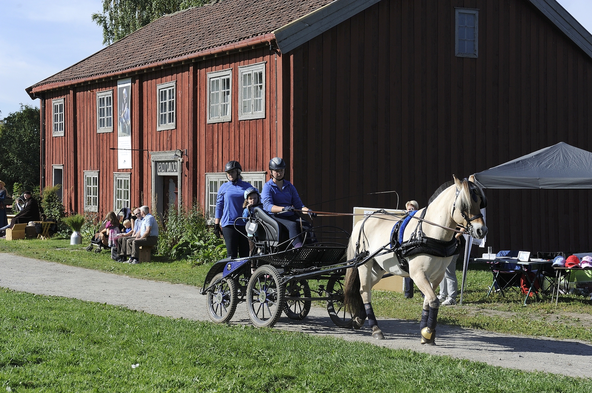 Kulturminnedagen 2013 og Hestensdag 2013 på Domkirkeodden. 
Oppvisning av diverse hesteraser. 