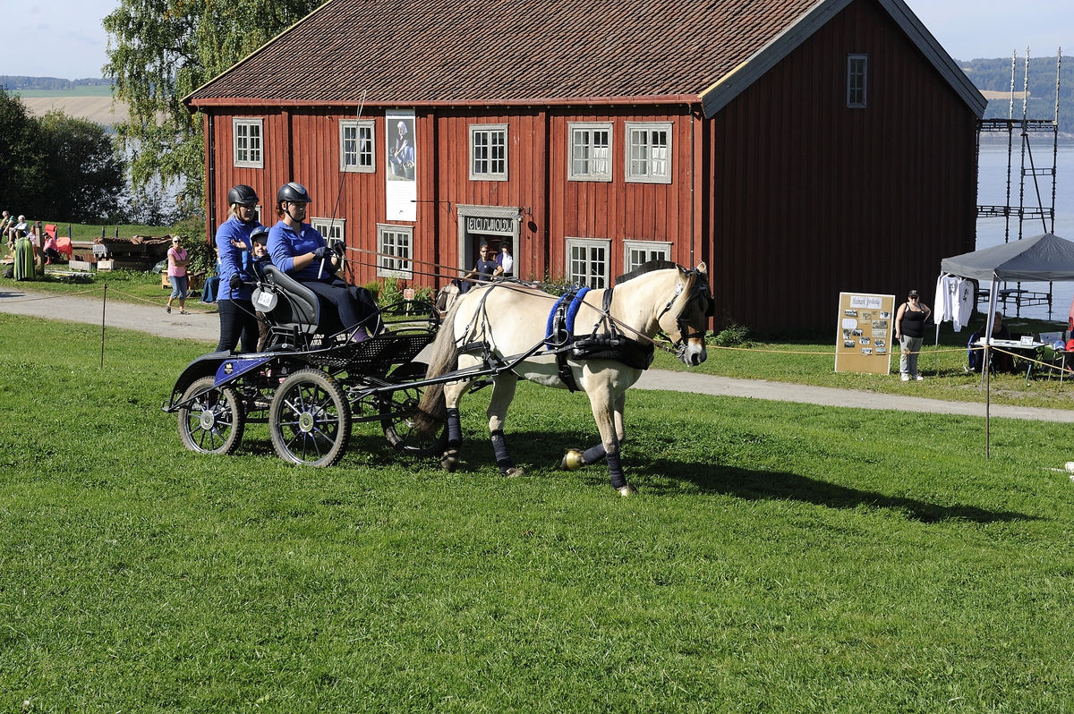 Kulturminnedagen 2013 og Hestensdag 2013 på Domkirkeodden. 
Oppvisning av diverse hesteraser. 