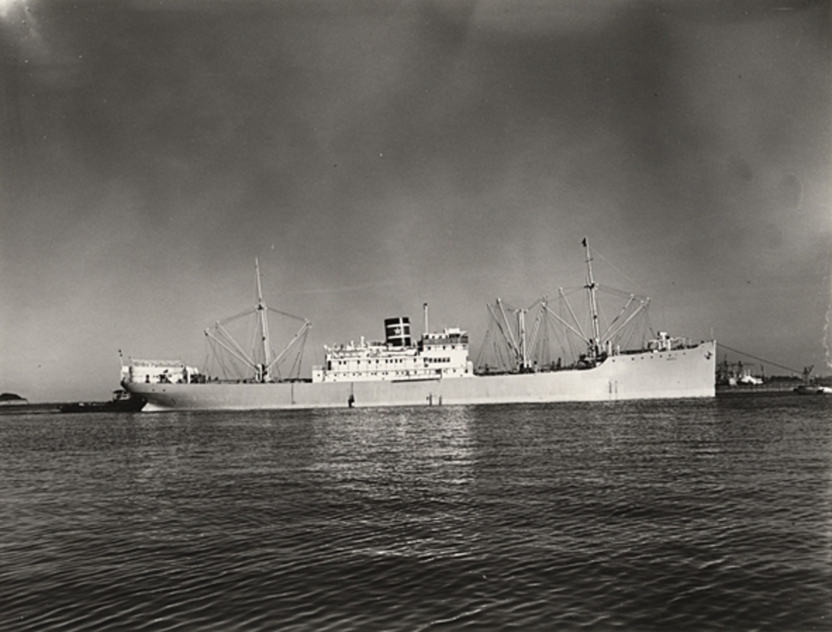 Foto i svartvitt visande lastmotorfartyget "BRASIL" av Stockholm i Köpenhamn.