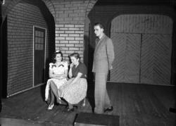 En forestilling/revy fotografert