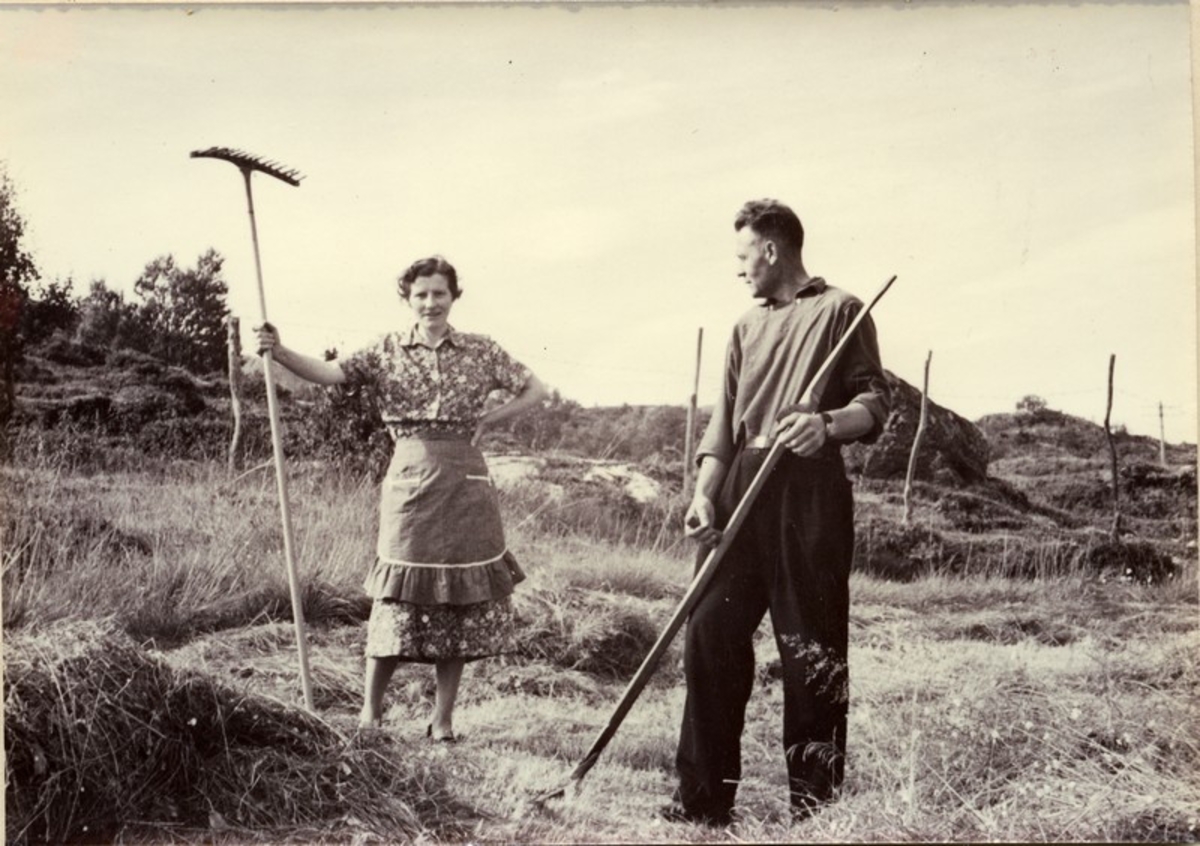 Nikoline Henningea, f. Strøm (1911-1980), og Kåre Glad (1910-1998) på slåttemarka i Djupfjorden, Sortland.