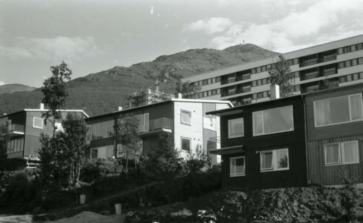 Narvik, Øvre Jernbanegate . 1967.
Øverst fra v. Sund, Blomsøy, Vian, Munkvold og Flygel (Øvre Jernbanegate 16).