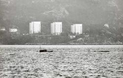 Motiv: Undervansbåt KNM "Kaura" (S 309) K-kl, dykker på Berg