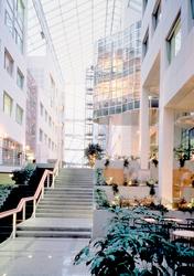 Hovedkontor for SAS [Fotografi]