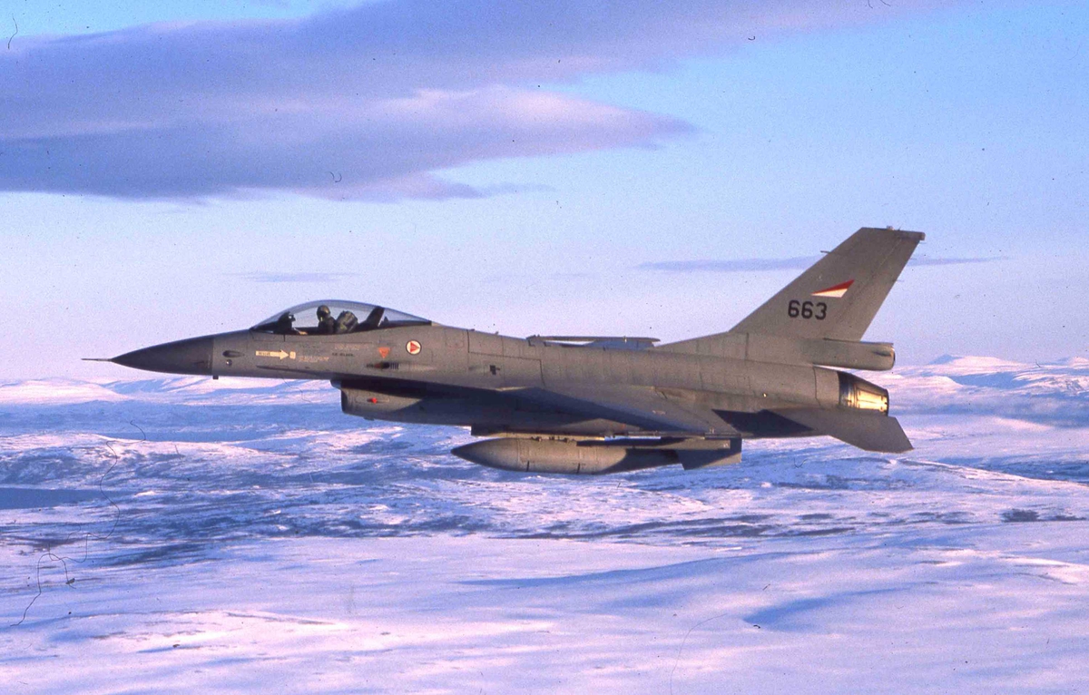 Ett fly i lufta, F-16A  663   334 skv.
