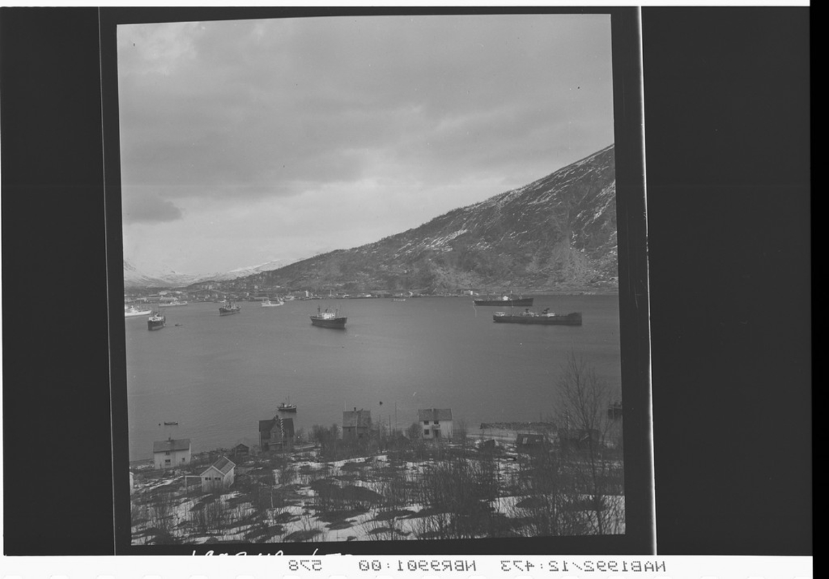 Narvikbukta med flere lasteskip. Bildet tatt fra Ankenes.