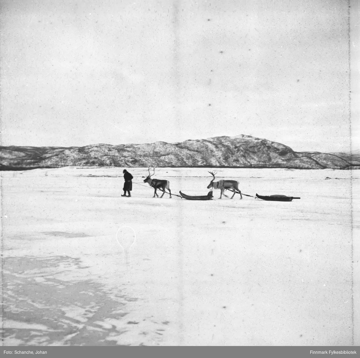 En mann i sameklær / pesk  går på isen over Tanaelva med to rein og sleder. Bildet er tatt fra lang avstand. Bakerst fjellene.