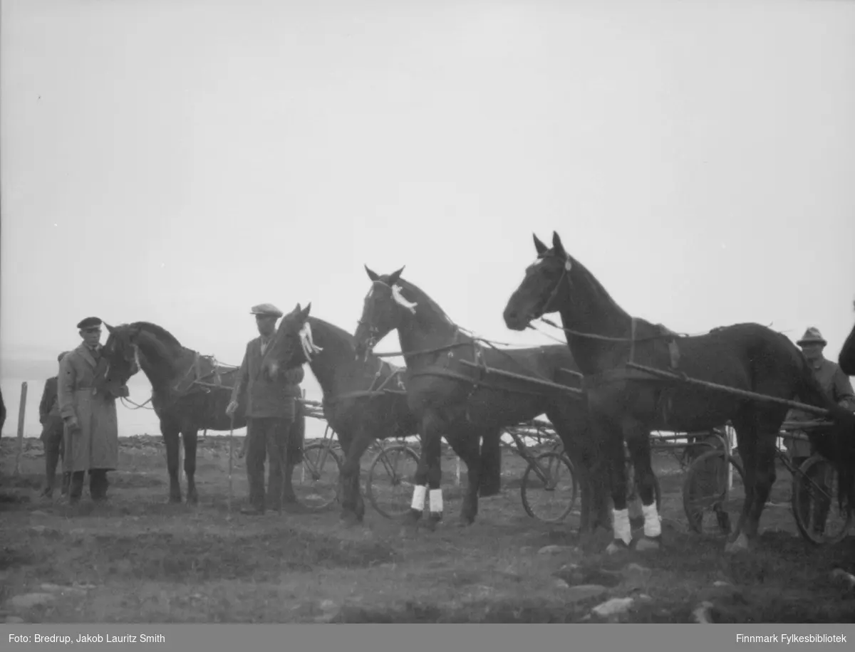 Bildet er tatt i 1933 og viser følgende fra venstre: Karl Olsen Dervo med hesten 'Vello'. Pandor med ukjent hest Hesten 'Kavaler' til fru politimester Hofgaard Hesten 'Bravo II' og kjøpmann Ole Nilsen