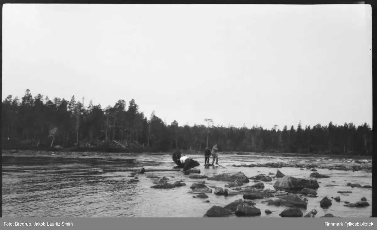 Tre menn strever med en elvebåt ved et stryk i Pasvik. En av dem prøver å trippe tørrskodd i land, de to andre redder båten.  Tett furuskog langs bredden av elva.