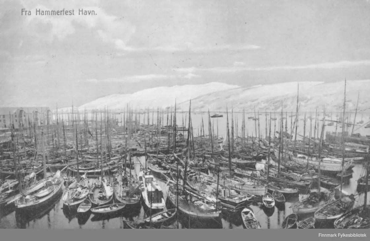 Postkort med trykt tekst 'Fra Hammerfest Havn' - fullt av fiskefartøyer på havna