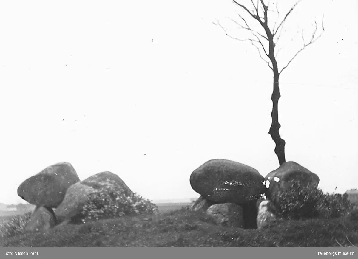 Dubbeldösen i Snarringe sedd från öster. P.L. Nilsson foto nr.49 Accessionsboken: Foton tagna efter kort i P.L. Nilssons i Håslöv album, foto nr 49.