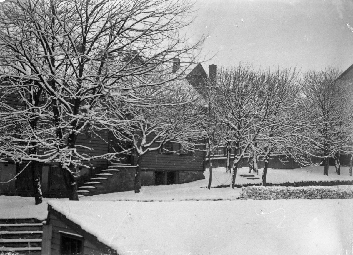 Møllerveien en vinterdag. Hus gjemt bak snødekte trær, kun hustak synlig i bakgrunnen.