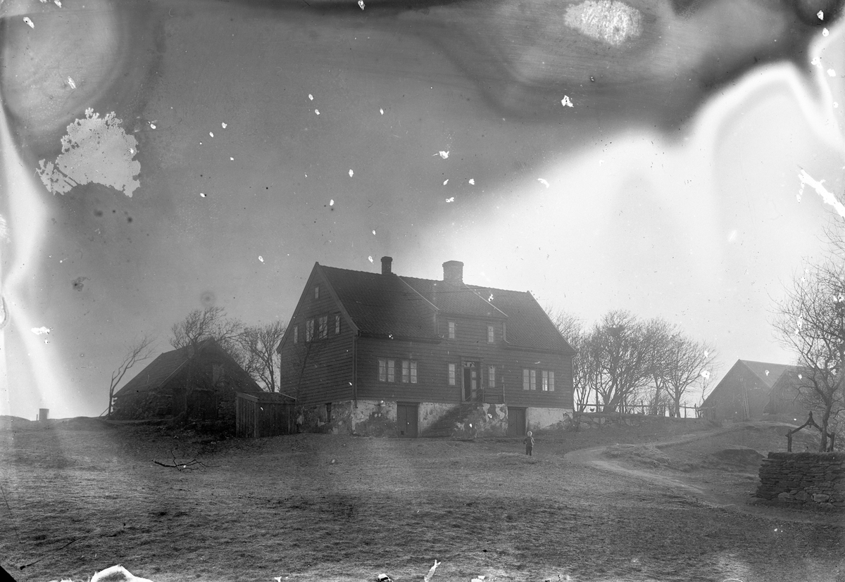Jens Thormansens gård på Risøy. En liten gutt midt på bildet på gårdstunet. Noen trær til venstre for våningshuset (midt på bildet).