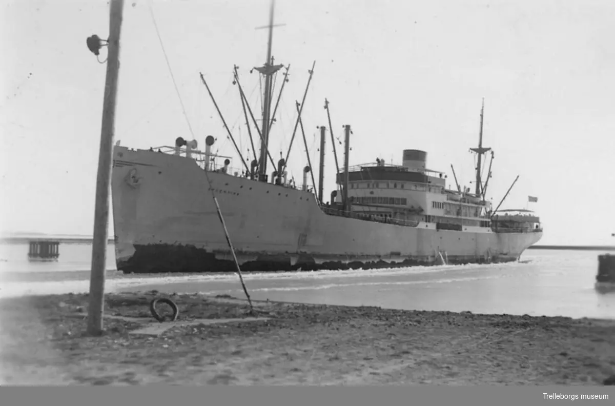 Motorfartyget Argentina. P-Foto 48-50.