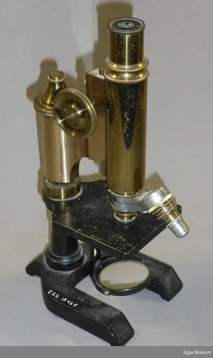 Mikroskop i lakkert messing og støpjern med original trekasse. Mikroskopet består av okular (3 x forstørrelse), tubus (røret i mellom), to objektiv i en "revolver", objektbord med hull, speil som kan dreies rundt (for å konsentrere dagslys eller annet lys) og u-formet sokkel. Grovjusterees med to store skruer på hver side av tubus. Finjusteres med horisontal skrue på toppen av søylen. 
Mikroskopet består av to avtagbare objektiv, og løs linse? i topp av tubus. Kassen inneholder ei skuff med to objektglass samt to stålinnrettninger med skrue på enden, ant for feste av objektglass?, samt to metallhylser (ukjent bruk). I tillegg har kassen to uitrekkbare treklosser med fire utfreste (dype) hull i hver. I ene hull står monter et sylinder med lokk i messing, mrk No 5, Seibert, ant for oppbevaring av objektiv. Mikroskopet består av 5 deler, kassen inneholder 11 løse deler. Mikroskopet er merket: Seibert in Watzar 15240. Trekasse som hører til er merket med samme nr. Kasse i lakkert løvtre med hengslet dør, låskasse med nøkkel og håndtak i stål (på toppen). Medfølger ark med objektivbeskrivelse. Kassen er montert med divers klosser trukket med filt for å sikre mikroskopet under transport. 

Brukt i botanikkundervisninga ved skogskolen på Steinkjer.
