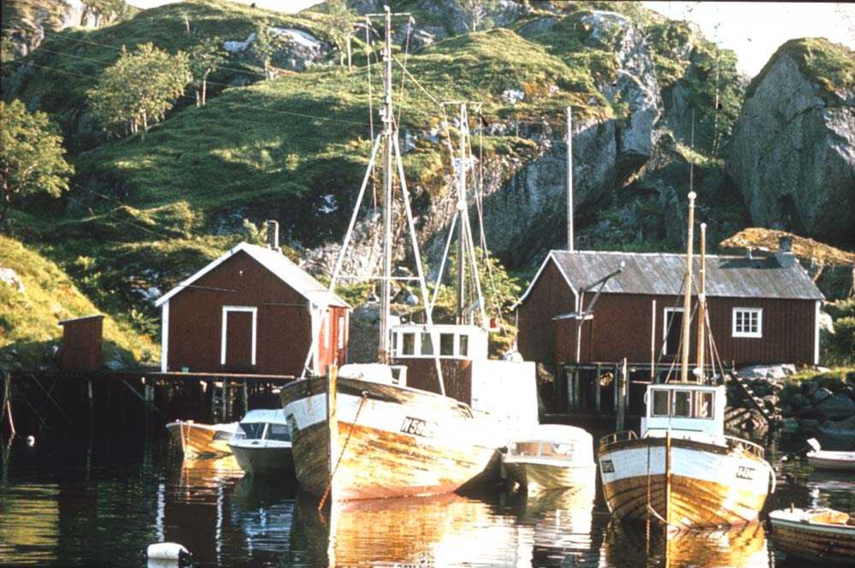 Landskap. Nusfjord. Parti fra havna med fiskebåter og rorbuer.