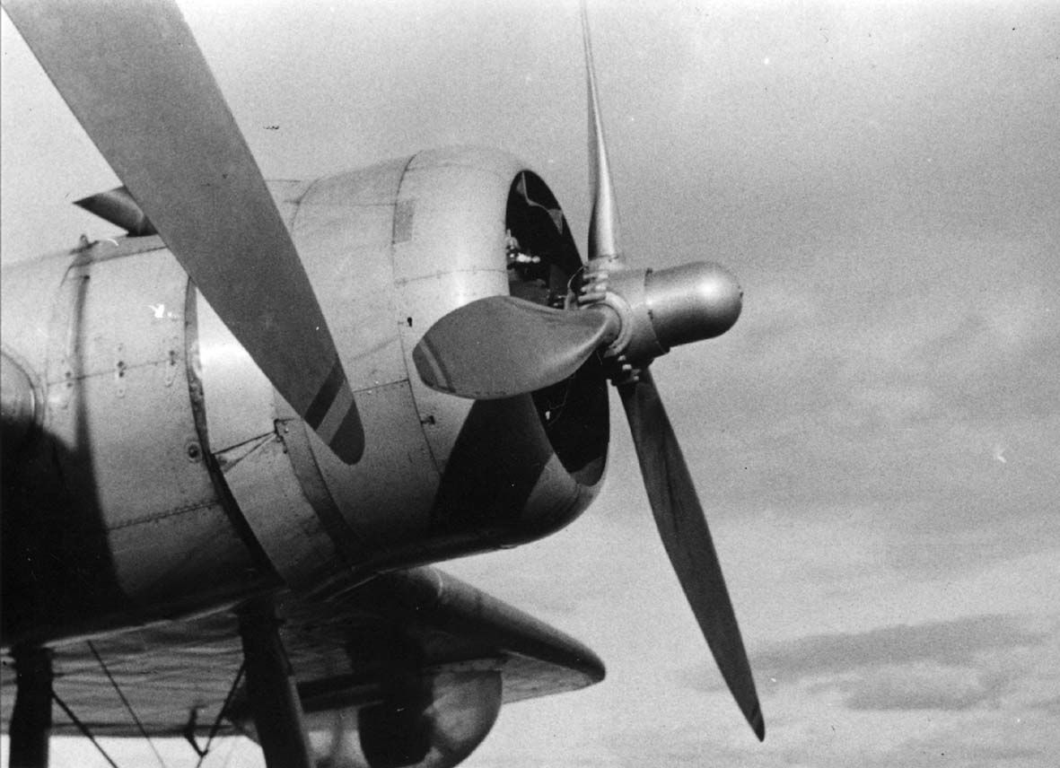 Ett fly, Sandringham. (Detaljfoto motor).