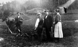 Pause i pototopptaking