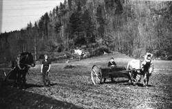 Våronn på Kleveland