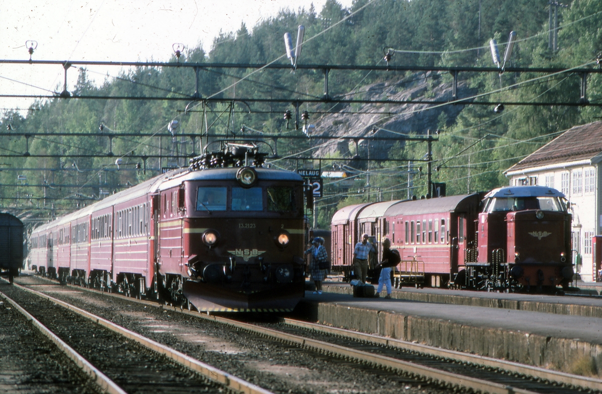Ekspresstog fra Stavanger til Oslo, tog 74, kjører inn på Nelaug stasjon med NSB elektrisk lokomotiv El 13 2123. Godstog til Arendal med personbefordring står i spor 2 med dieselhydraulisk lokomotiv type Di 2.