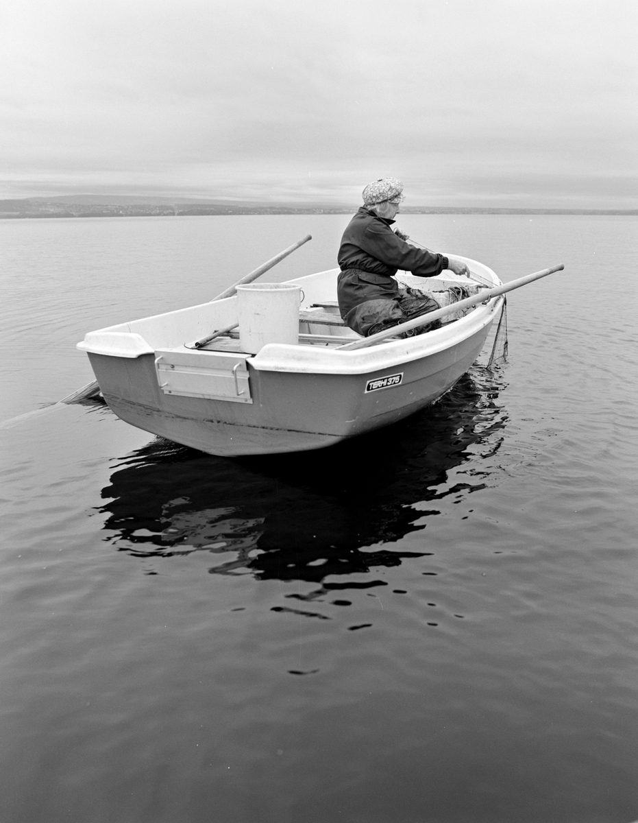 Aslaug Lier, lågåsildfiske, lagsild,  Helgøya, fiske i Mjøsa, Nessundet, robåt, garnfiske.