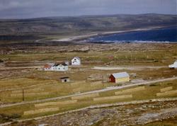 Flyfoto av Krampenes, Vadsø kommune, 1963.