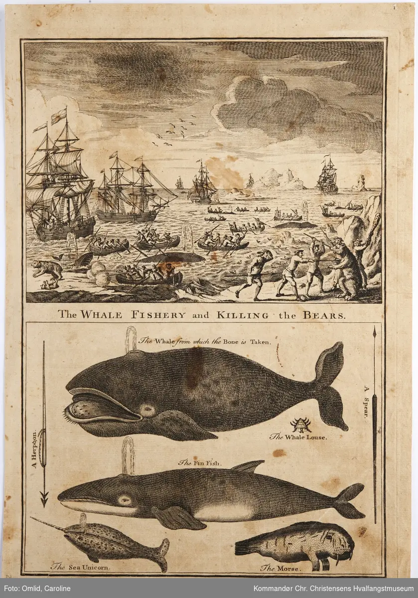 Øverste del: Hvalfangst med håndharpun fra robåt. 
Nederste del: Div. hvalarter