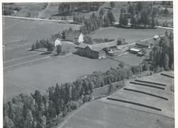 Øksne nedre, Halmrast