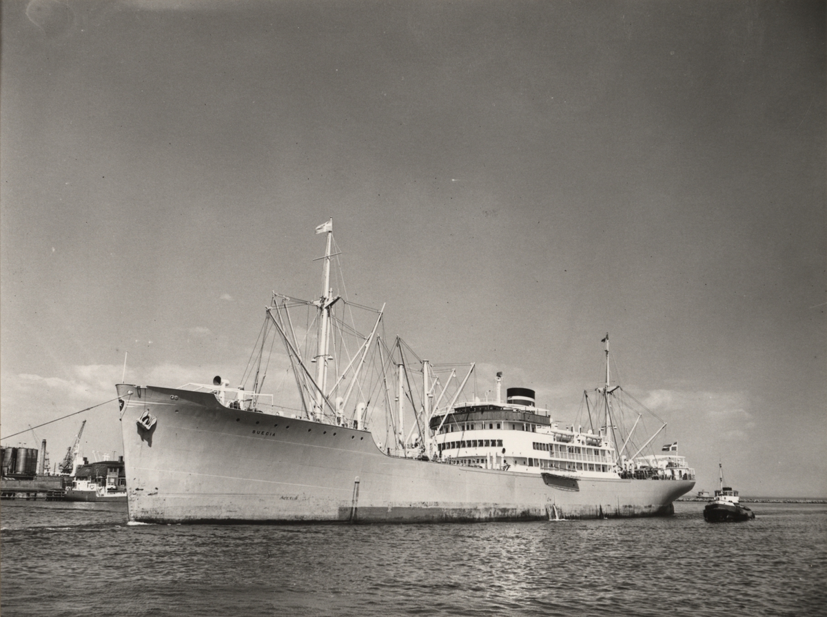 Lastmotorfartyget "SUECIA". Foto i svartvitt taget i Köpenhamn i maj  månad 1960.