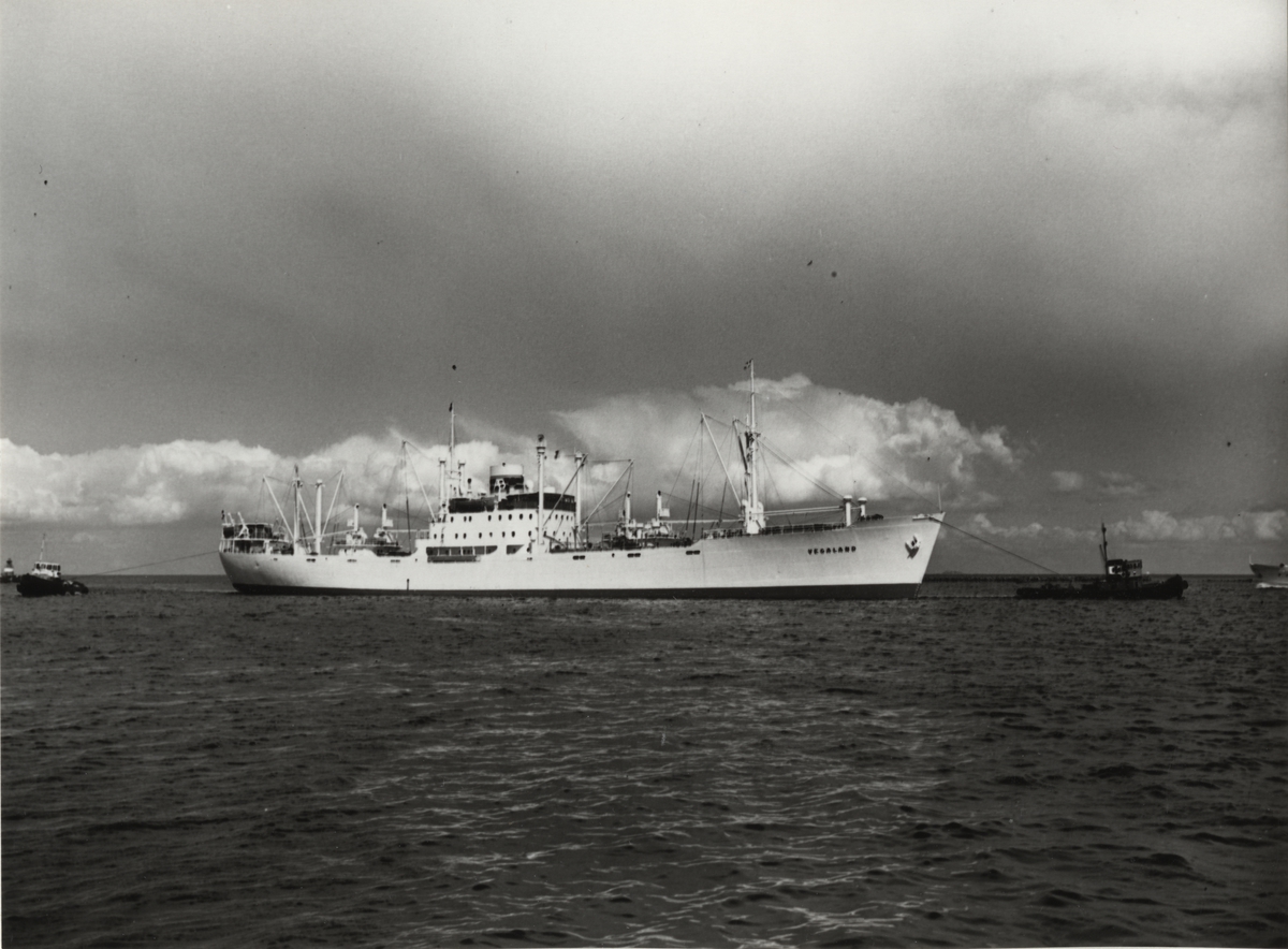 Foto i svartvitt visande lastmotorfartyget "VEGALAND" taget i Köpenhamns hamn under år 1960.