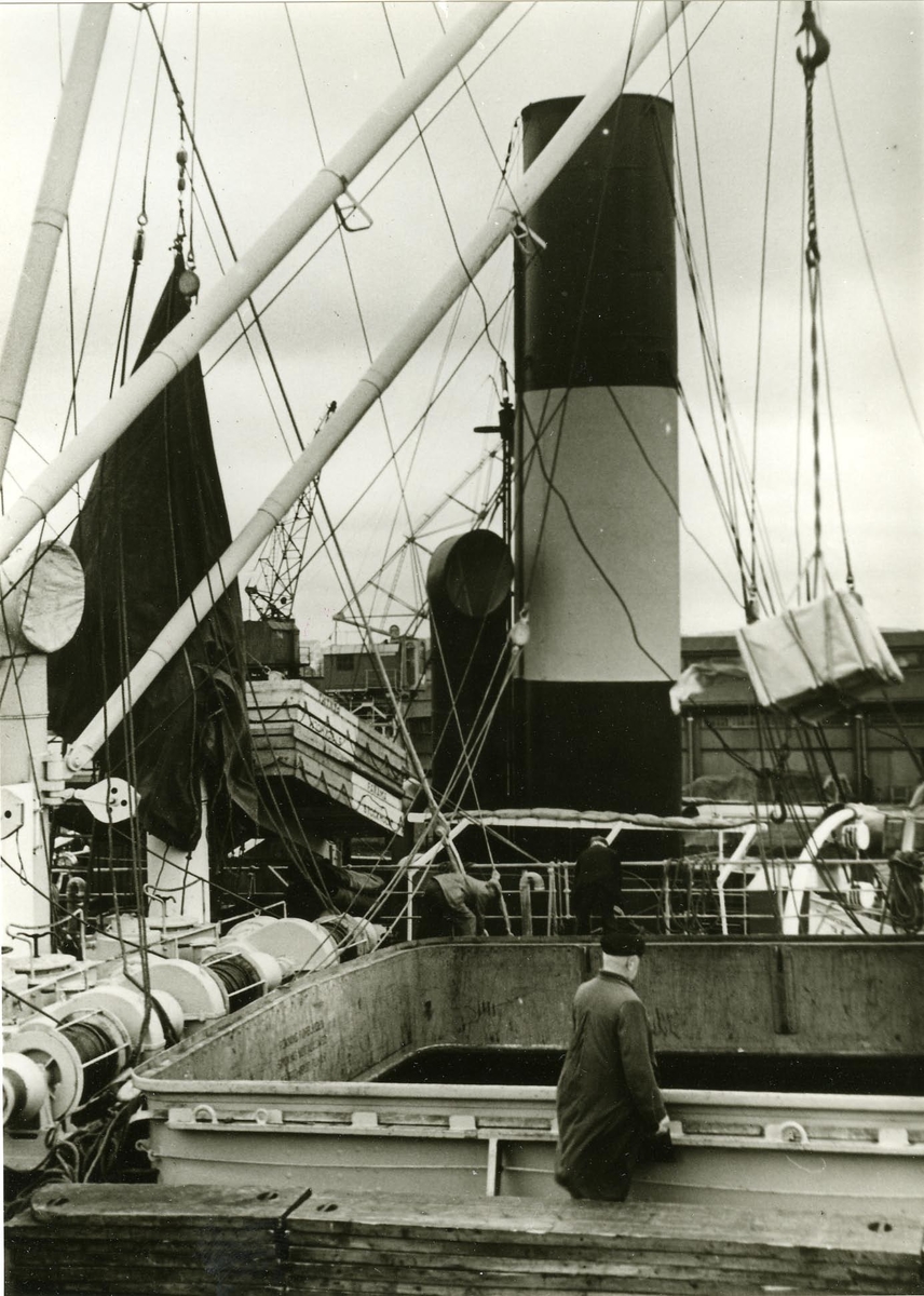 Lastning av Johnsonfartyg i Göteborgs frihamn 1940-1950-tal.